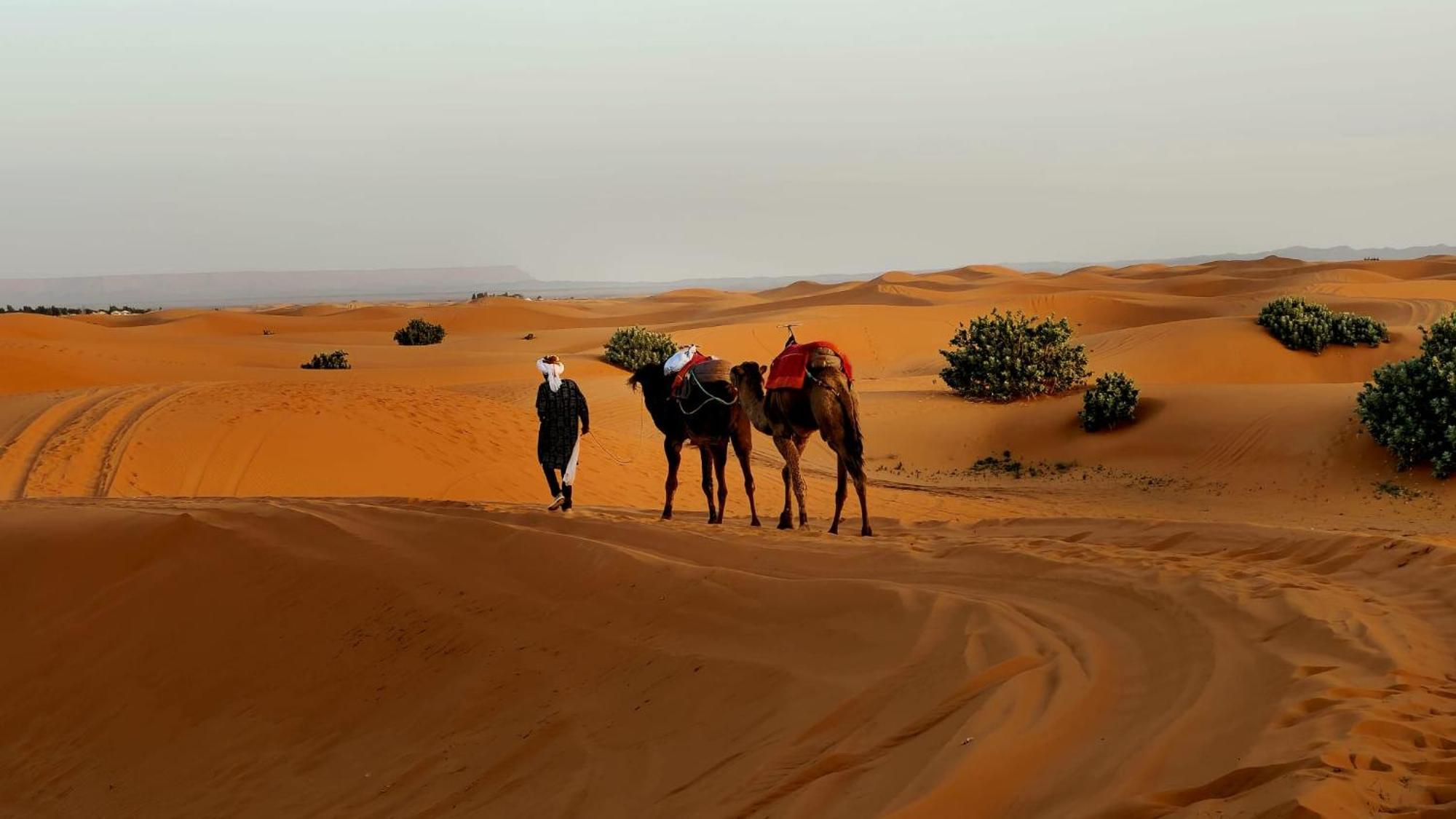 Camp Familia Erg Chebbi * Merzouga