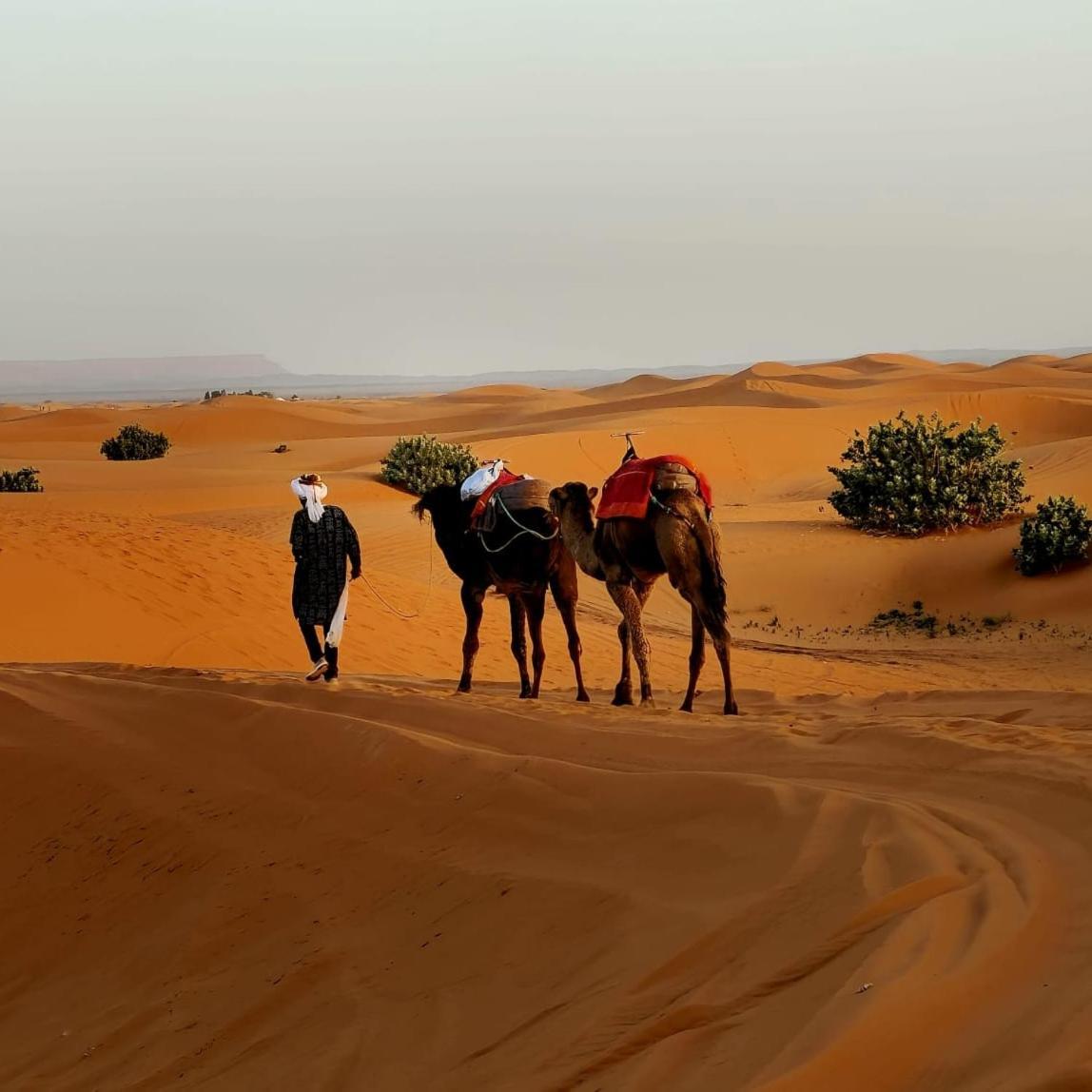 Tente de luxe Camp Familia Erg Chebbi *